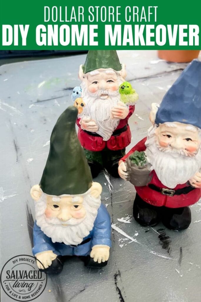 DIY Dollar Store Gnome Makeover pin image