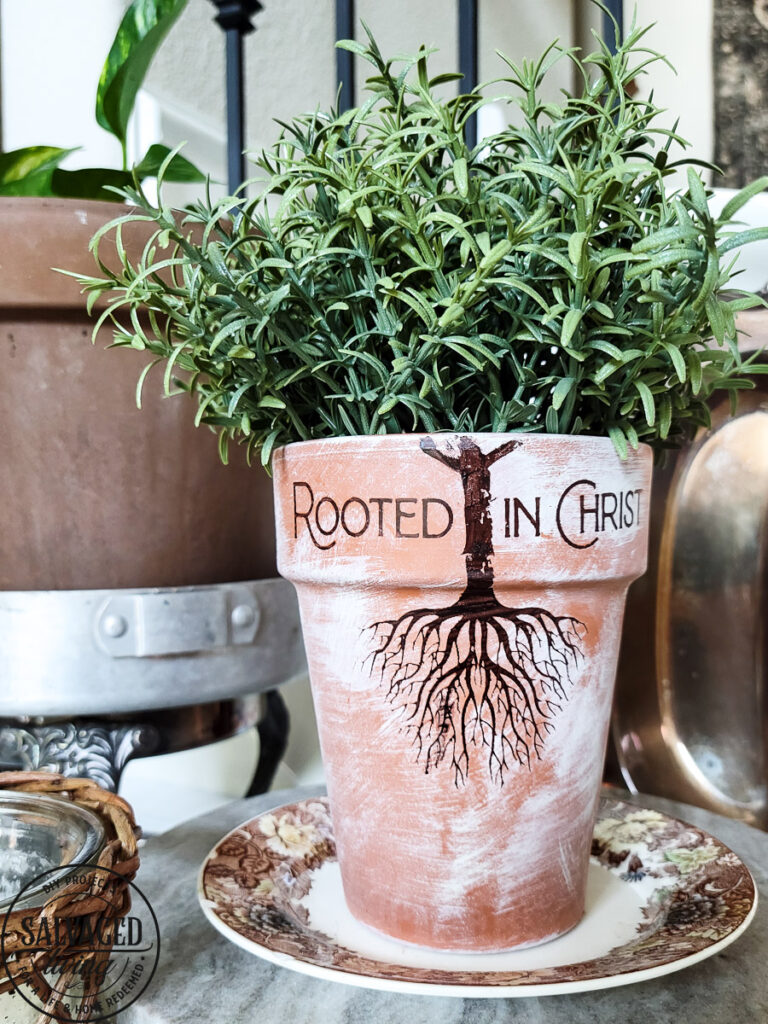 rooted in Christ finished terra cotta pot