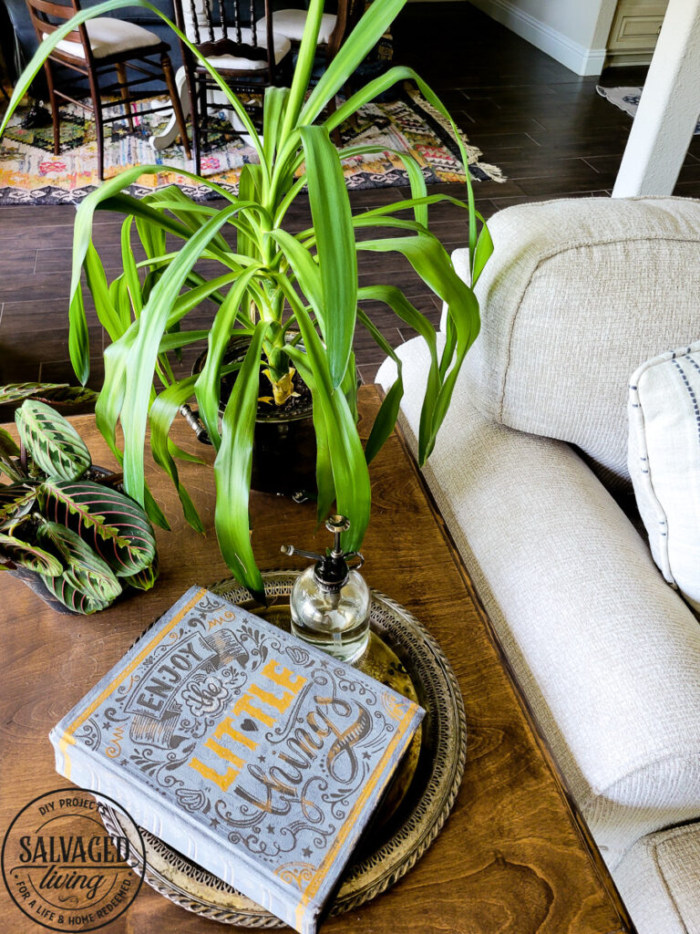 stenciled dictionary next to plant