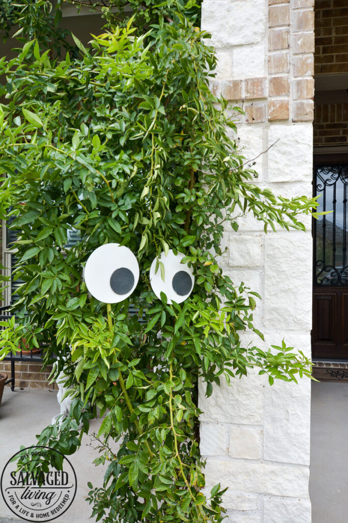 Create a spooky porch for Halloween with DIY glow-in-the-dark outdoor Halloween decor. Perfect for your plants and yard, these glow in the dark eyes bring your outdoor decorating to life! #rustoleum #rustoleumimagine #glowinthedark #halloween #halloweendecor #sponsored #outdoordecor #DIYHalloweencraft