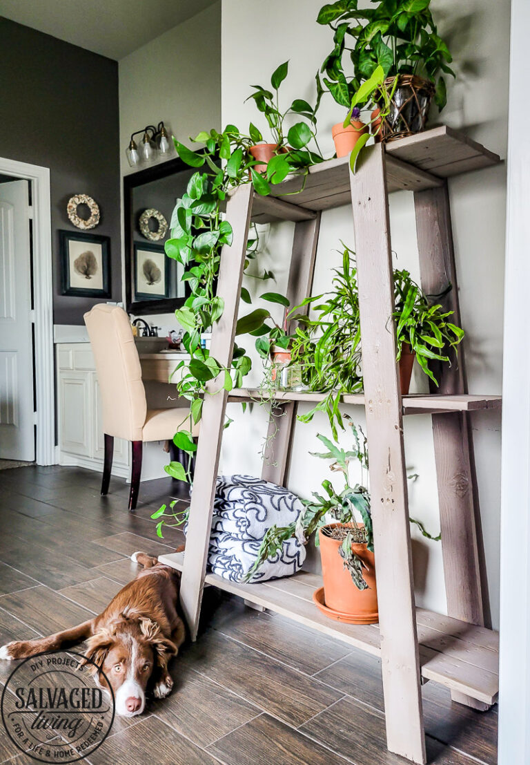 Found this shelf at a garage sale and turned it into a stunning plant shelf for my bathroom. This thrifted shelf makeover is proof good bones are all you need to turn trash to treasure! #paintedfurniture #thriftedmakeover #plantstand #plantlady