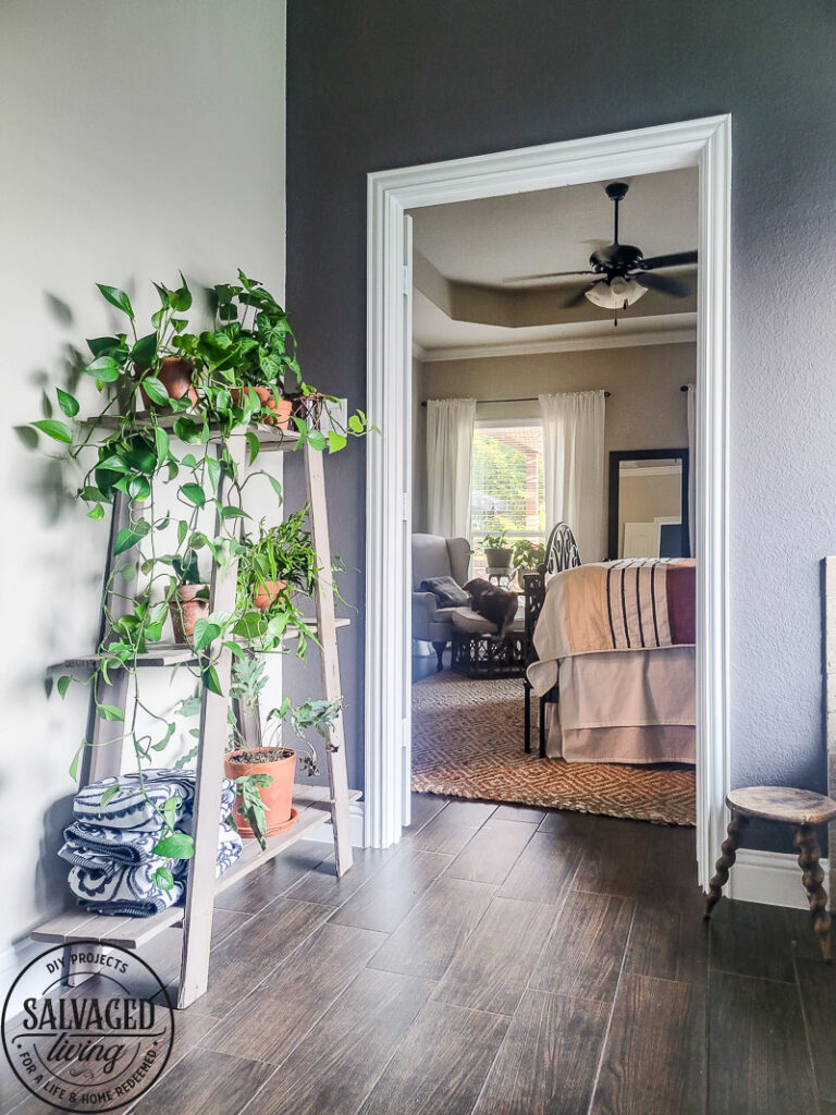 Found this shelf at a garage sale and turned it into a stunning plant shelf for my bathroom. This thrifted shelf makeover is proof good bones are all you need to turn trash to treasure! #paintedfurniture #thriftedmakeover #plantstand #plantlady