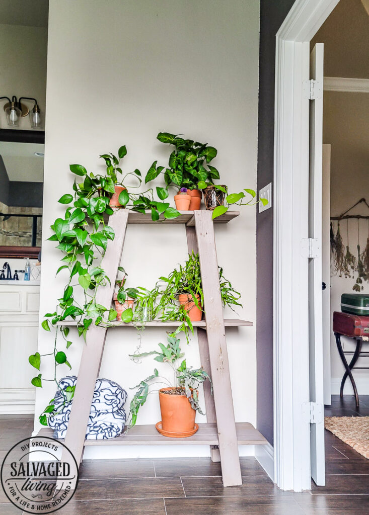 Found this shelf at a garage sale and turned it into a stunning plant shelf for my bathroom. This thrifted shelf makeover is proof good bones are all you need to turn trash to treasure! #paintedfurniture #thriftedmakeover #plantstand #plantlady