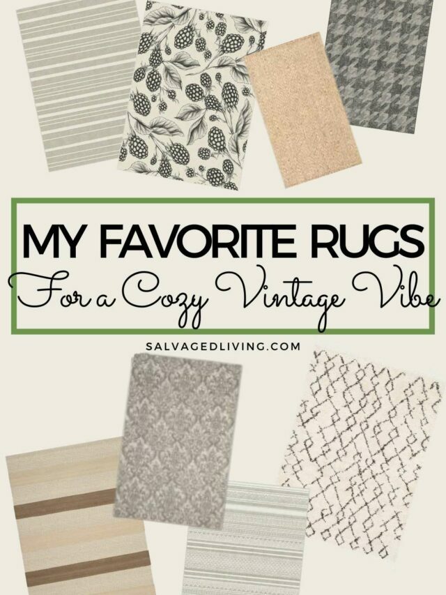 RUGS IN MY HOME