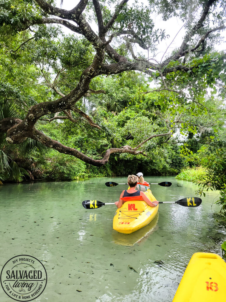 Here are some fun things to do in New Smyrna Beach, Florida if you want to have a girl's weekend vacation getaway! I;ve also listed some great things to do in Orlando as well. You can do so many activities year round in these beautiful Florida towns. Travel with your girlfriends for an epic girl's trip! #newsmyrabeach #thingstodoflorida #travelflorida #girlstrip