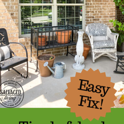 Drip Irrigation for Your Patio Plants