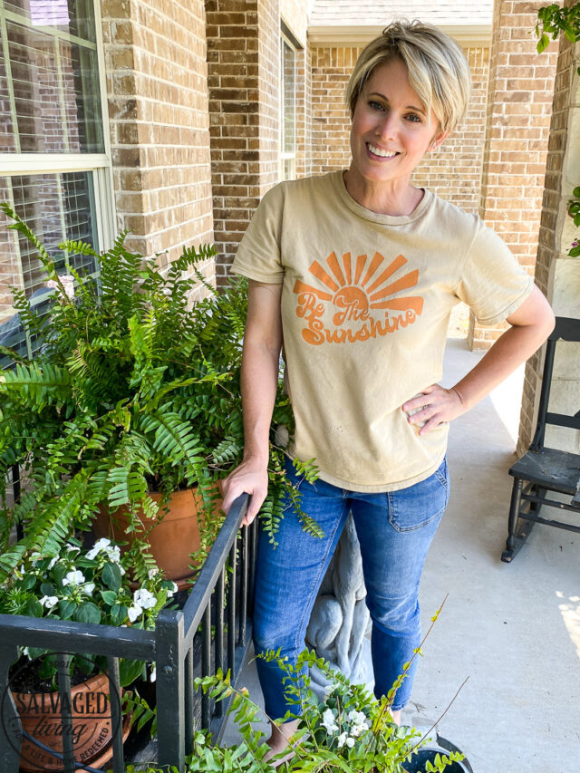 cropped-how-to-water-your-patio-plants-with-drip-and-a-timer-18.jpg