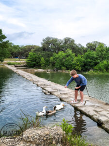 10 things to do in Blanco, Texas. Visit this small Texas town in the hill country, just minutes away from San Antonio, Austin, Wimberly, Marble Falls you can fisn and swim in the Blanco RIver, eat delicious Texas BBQ, and enjoy live country music while you soak in the small-town vibe. #VisitBlancoTx #travelTexas #smalltownTexas