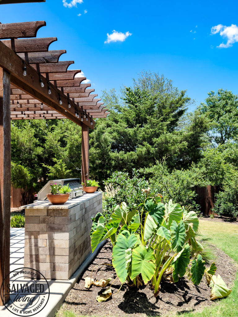 outdoor kitchen side