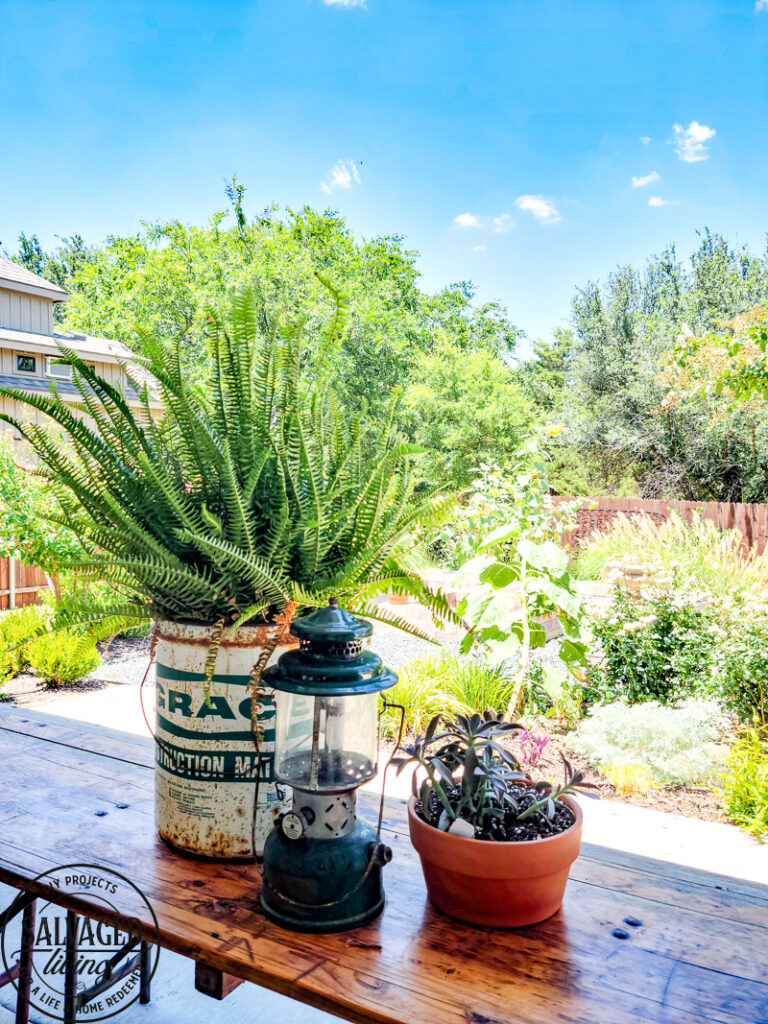 Backyard dining