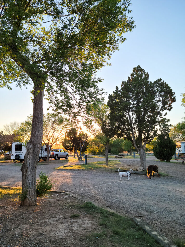 An RV vacation to the Grand Canyon, follow along on our Grand Canyon vacation adventure and see how this single mom took her kids on an epic road trip! #grandcanyonrv #singlemomtrip 