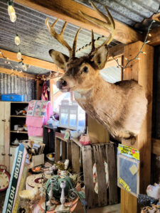 Vintage Trends from Round Top Antiques Week in Round Top, Texas. Come see what is hot in home decor and thrifted finds by shopping this massive, famous fleam market downin Texas. #trendalert #vintagedecor #warrenton