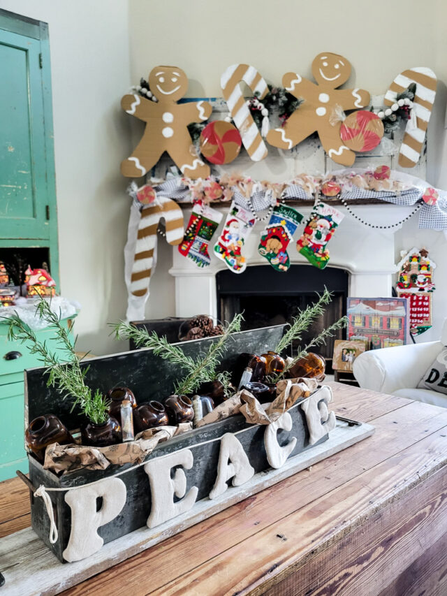 cropped-Christmas-Collectables-Home-Decor-Tour-5.jpg