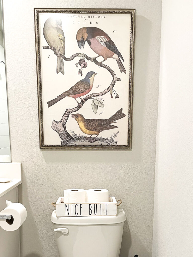 If you're on the hunt for bathroom organization ideas, look no further! I've got 5 Amazon must-haves for bathroom organization that you NEED TO SEE! And I've already tested them myself, so you know they're a winner! #bathroom #organization #amazonfinds