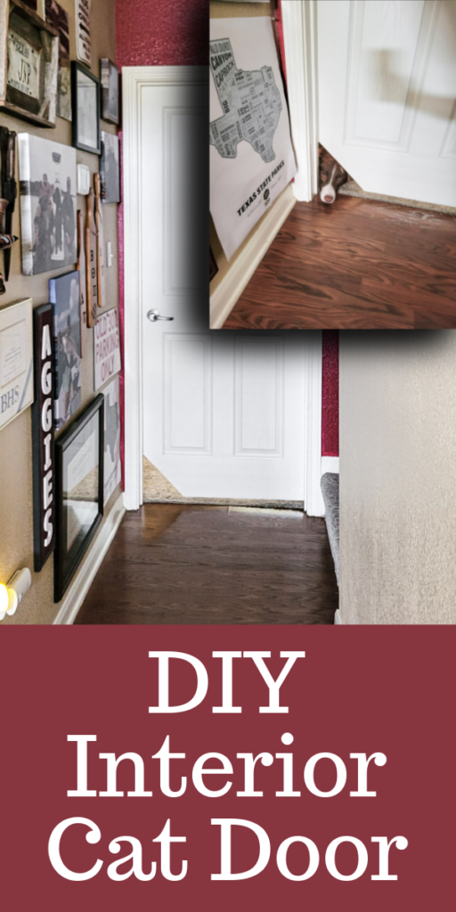 It's not hard to make a DIY interior cat door... you only need an hour or so and a couple of supplies. I'll show you how here! #catdoor #pets #cats