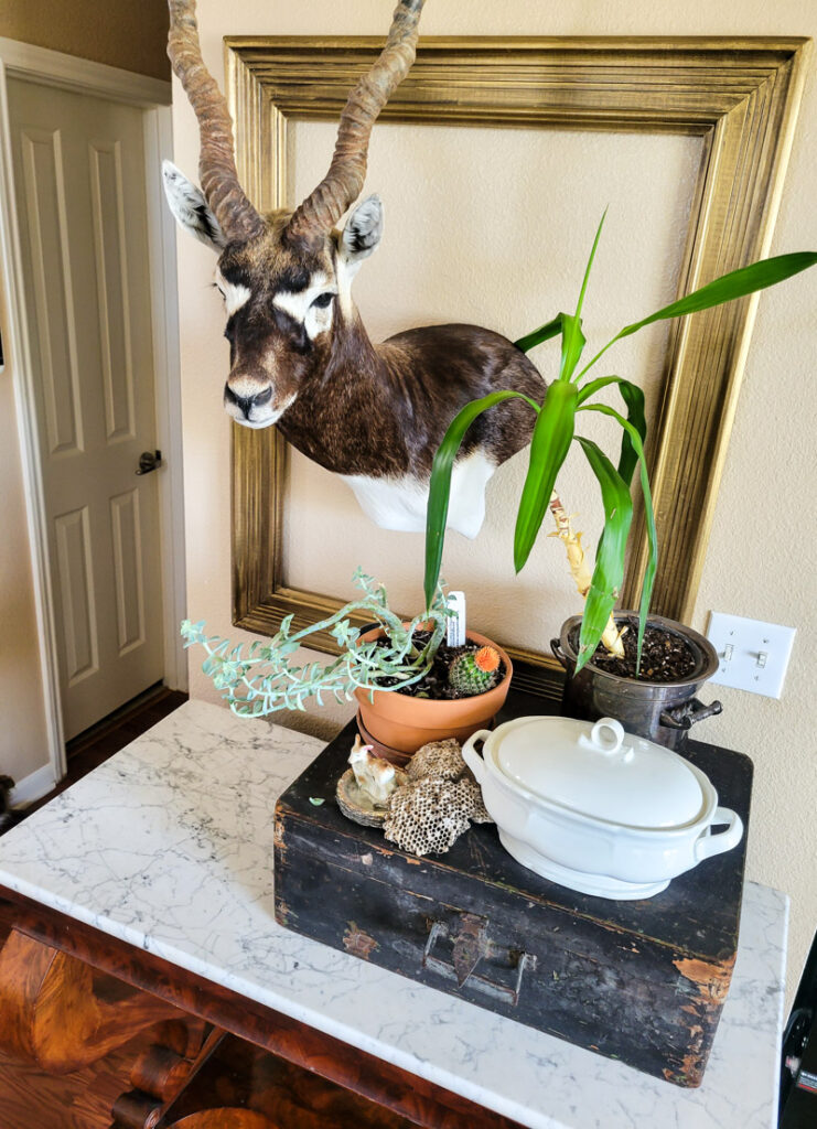 If you're on the hunt for an entryway table, look no further than these marble top entryway tables for a vintage vibe!