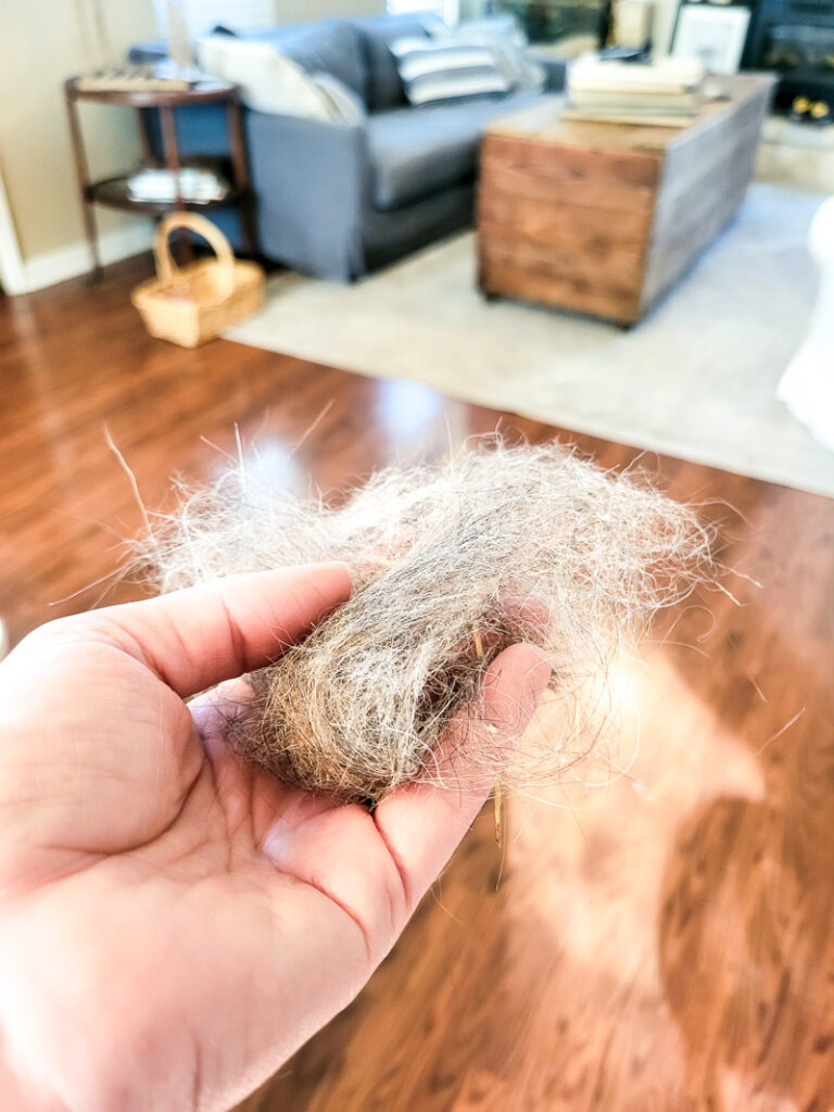 The best tools to reduce pet fur in your home on floors, carpet and furniture. These are the tools and products I found best to help manage pet shedding and hair in our home. It takes a few items mixed together to get pet hair under control and manageable in your house! #pethair #shedcontrol #doghair #furcontrol