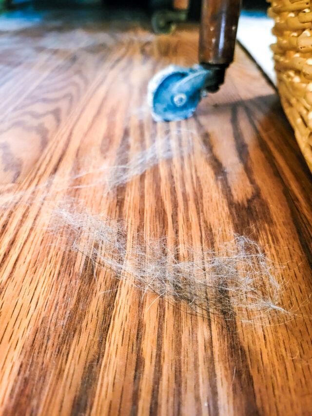 Reduce Pet Fur in Your Home with These Tips!!