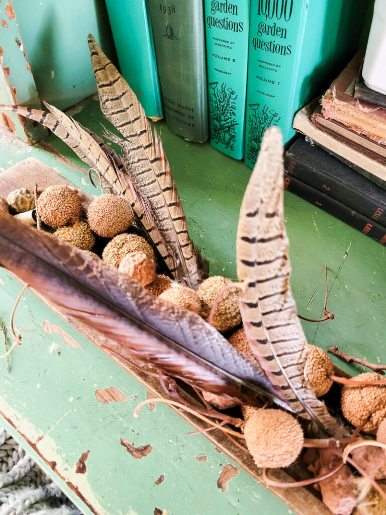 Add pheasant feathers or pheasant decor to your home for a cozy European cottage feel. These stunning pheasant decor pieces will add instant coziness to your home giving off a laid-back European style. Pheasants are such a regal bird and evoke the timeless tradition of hunting and countryside living to your home. #europeandecor #cottagestyle #vintagedecorinspiration