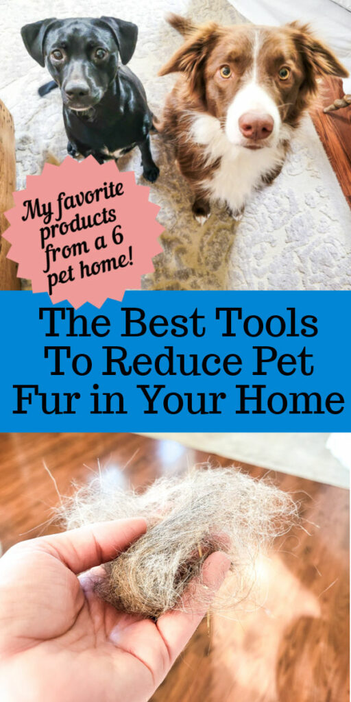 The best tools to reduce pet fur in your home on floors, carpet and furniture. These are the tools and products I found best to help manage pet shedding and hair in our home. It takes a few items mixed together to get pet hair under control and manageable in your house! #pethair #shedcontrol #doghair #furcontrol