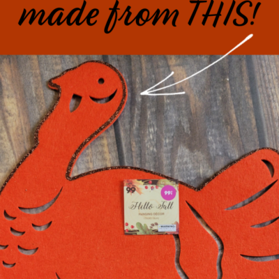 Easy DIY Turkey Decor for Fall