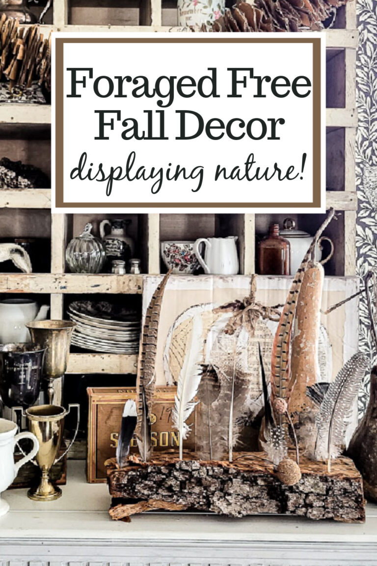 Don't break the bank this year, check out my foraged free fall decor from nature and get inspired! You're going to love it!