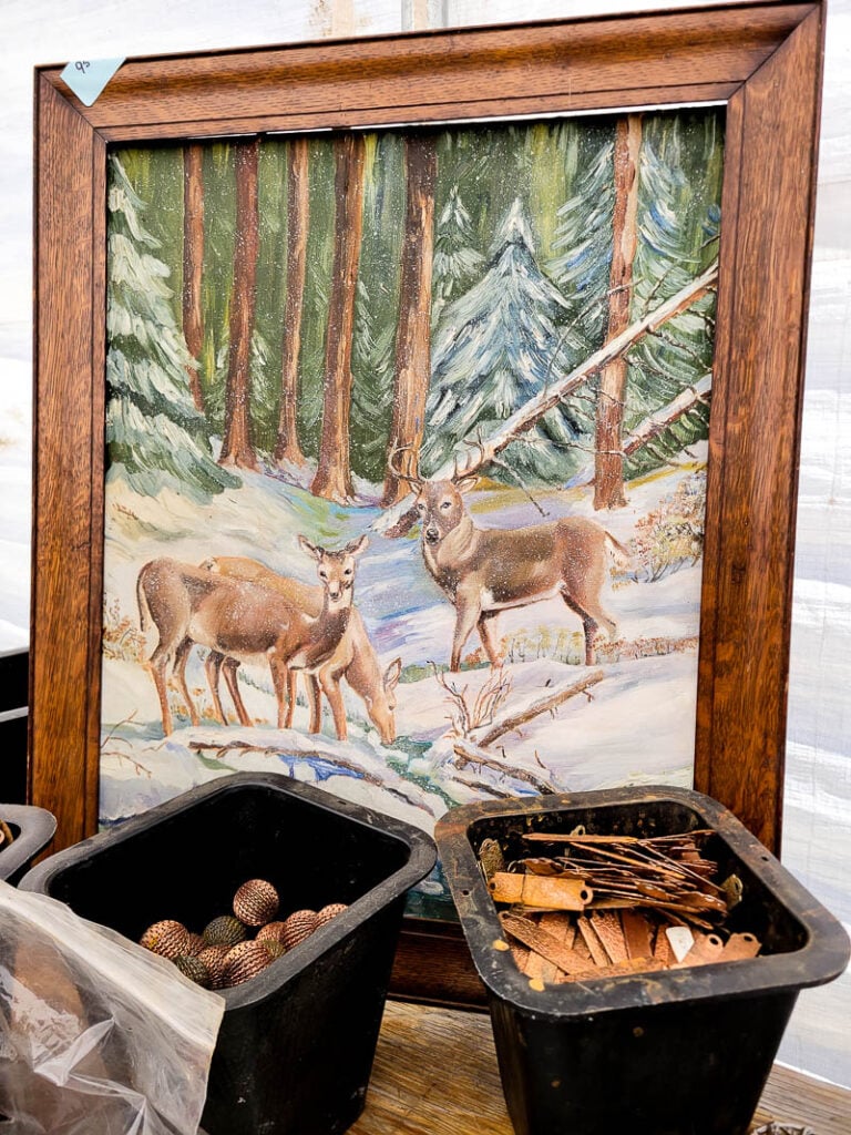 Thinking about heading to Round Top, Texas? After 20 years of visiting, I’m sharing the real scoop — the trends, the treasures, and how this beloved antique show has changed. From vintage Christmas and quilt jackets to high-end dining and fashion-forward crowds, here’s everything you need to know before your next Round Top trip.