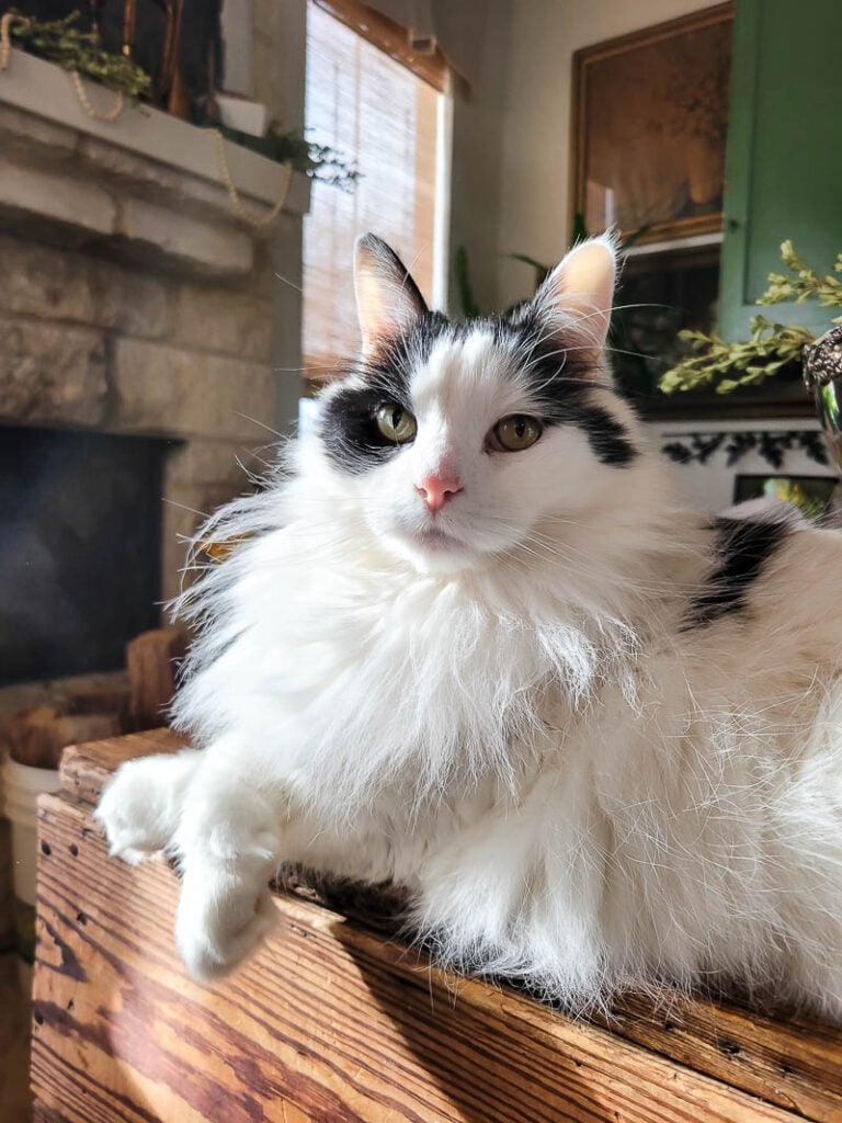 explore how to invite the 5 senses into your creative process and mix the senses with your faith and art to be present.