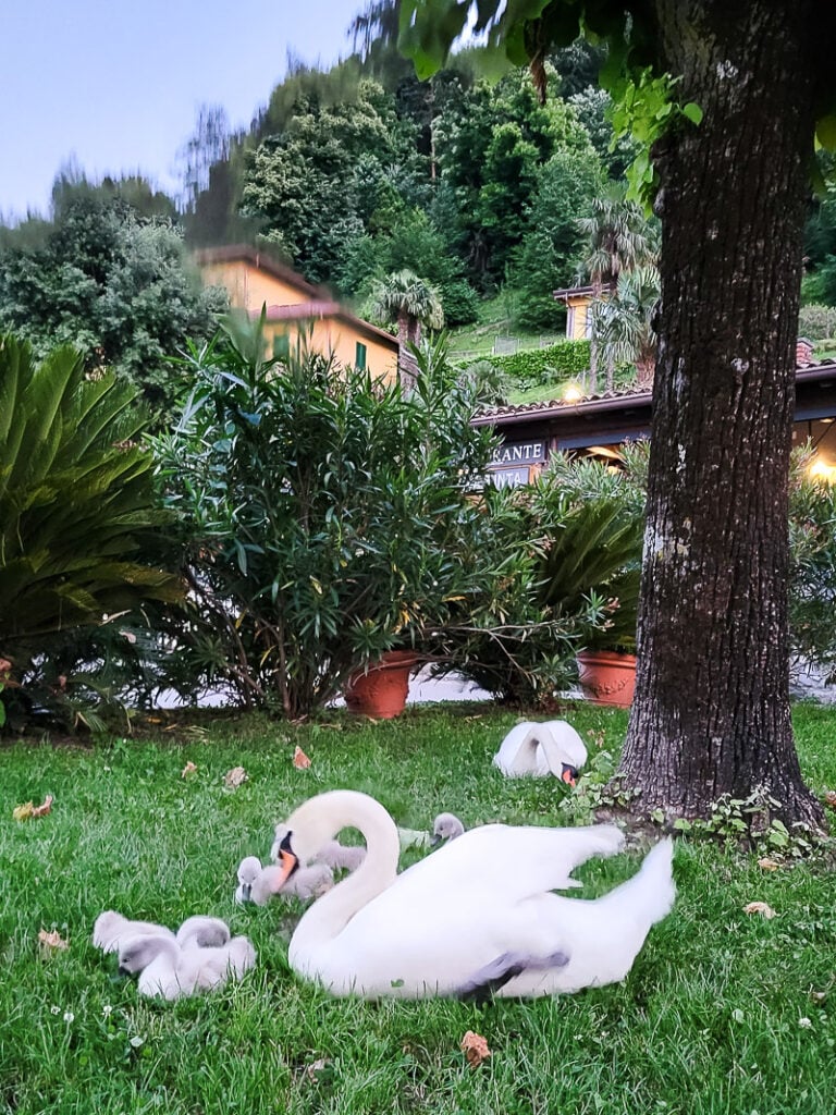 Creative travel journaling inspired by the colors, scenery and everyday details of Lake Como, Italy. Mixed media art, faith journaling and memory keeping come together during an unforgettable Christian creative retreat in Bellagio.